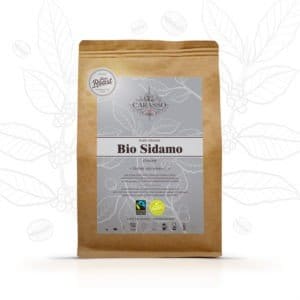 Café Bio Sidamo en Grains