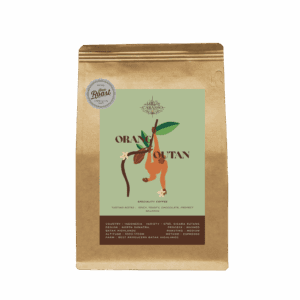 Orang Outan sca 82